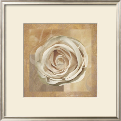Warm Rose Ii by Malcom Sanders Pricing Limited Edition Print image