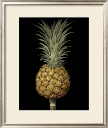 Brookshaw Exotic Pineapple Ii by George Brookshaw Pricing Limited Edition Print image