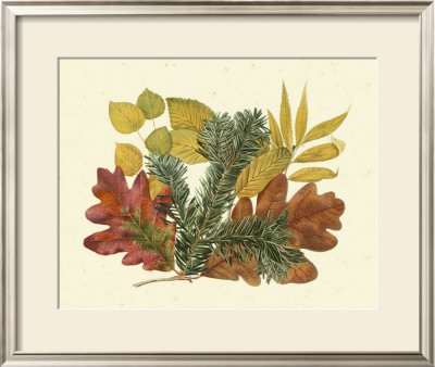 White Oak, Balsam Fir And Yellow Birch by Denton Pricing Limited Edition Print image