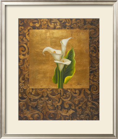 Calla Lily With Arabesque I by Patricia Quintero-Pinto Pricing Limited Edition Print image