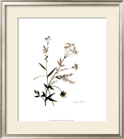 Watermark Wildflowers Viii by Jennifer Goldberger Pricing Limited Edition Print image