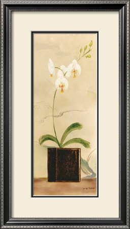 Asian Orchid Ii by Jennifer Matla Pricing Limited Edition Print image