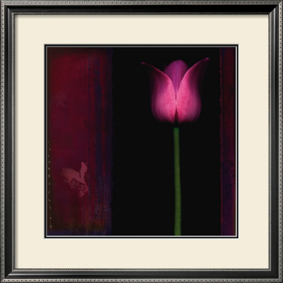 Red Tulip I by Rick Filler Pricing Limited Edition Print image