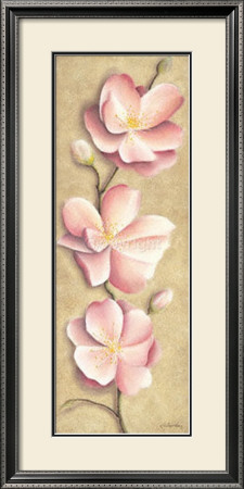 Apple Blossoms by Caroline Wenig Pricing Limited Edition Print image