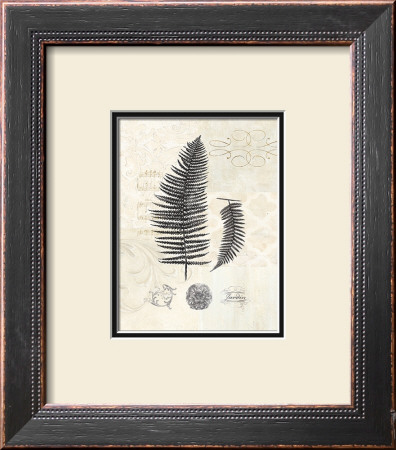 Filigree Fern by Devon Ross Pricing Limited Edition Print image