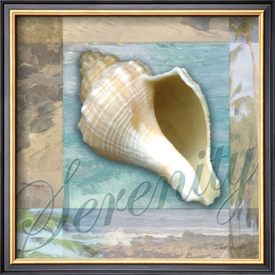 Serenity Shell by Todd Williams Pricing Limited Edition Print image