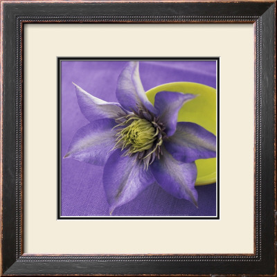 Clematis And Bowl by Catherine Beyler Pricing Limited Edition Print image