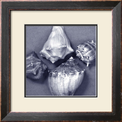 Shell Convergence V by Renee Stramel Pricing Limited Edition Print image