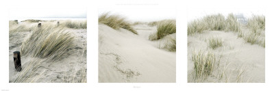 Dunes by Georges-Felix Cohen Pricing Limited Edition Print image