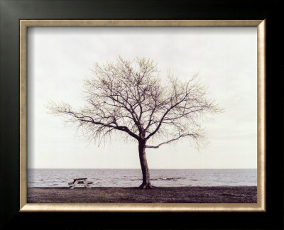 Bench: Bridgeport, Connecticut by Maya Nagel Pricing Limited Edition Print image