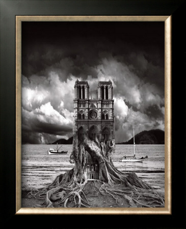 Stumped by Thomas Barbey Pricing Limited Edition Print image