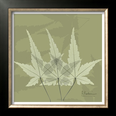 Color Me Maple Green Ii by Albert Koetsier Pricing Limited Edition Print image