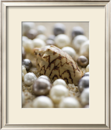 Sea Jewels Iv by Boyce Watt Pricing Limited Edition Print image