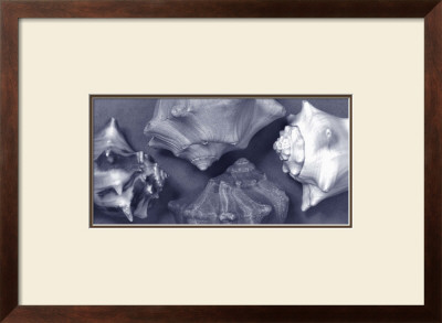 Shell Convergence Ii by Renee Stramel Pricing Limited Edition Print image