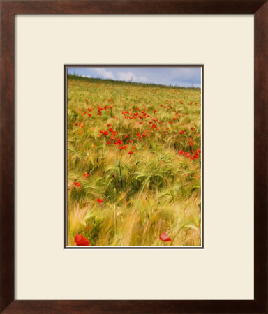 Poppies In Field I by Colby Chester Pricing Limited Edition Print image