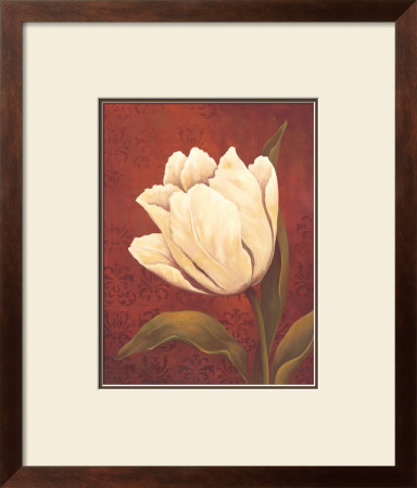 Tulip On Red by Ella Belamar Pricing Limited Edition Print image