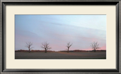 Sunrise by Alicia Ludwig Pricing Limited Edition Print image