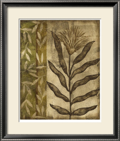 Plant Exotica I by Nancy Slocum Pricing Limited Edition Print image