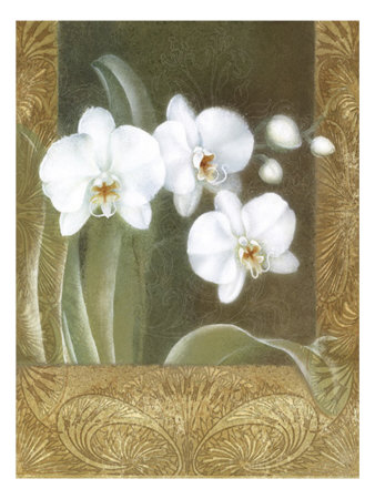 Orchid Overture I by Nancy White Pricing Limited Edition Print image