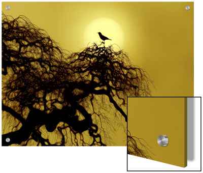A Bird On A Tree by I.W. Pricing Limited Edition Print image