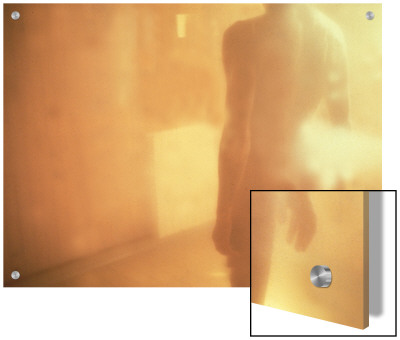 Standing Nude Male Figure In Golden Light, Rear View by L.T. Pricing Limited Edition Print image