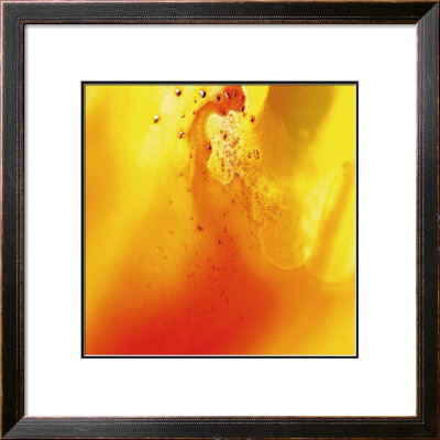 4719, Carre 3, 2008 by Pier Mahieu Pricing Limited Edition Print image