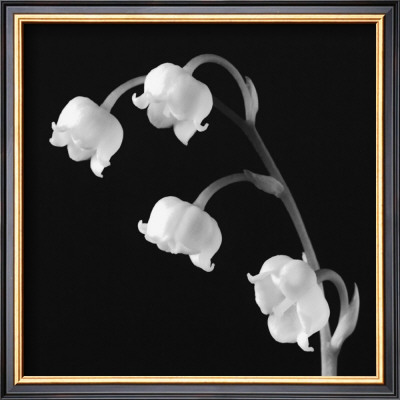 Spring Bells I by Michael Faragher Pricing Limited Edition Print image
