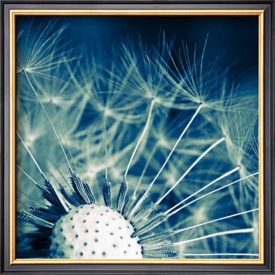 Stratosphere by Jean-Francois Dupuis Pricing Limited Edition Print image