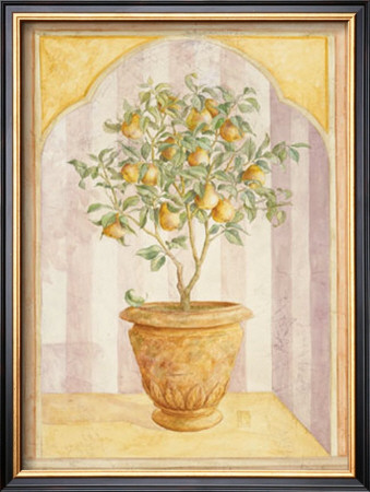 Pear Niche by Lisa Canney Chesaux Pricing Limited Edition Print image