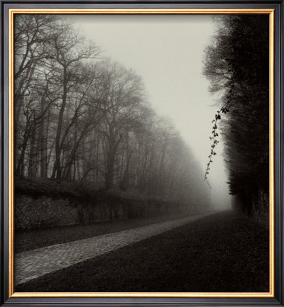 Suspended Vine by Michael Kenna Pricing Limited Edition Print image