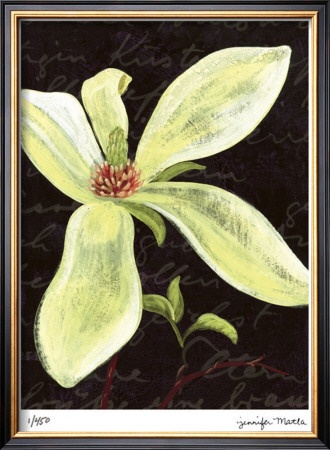 Magnolia by Jm Designs Pricing Limited Edition Print image