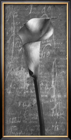 Calla Lily Sonnet I by Adrian Jendrasik Pricing Limited Edition Print image