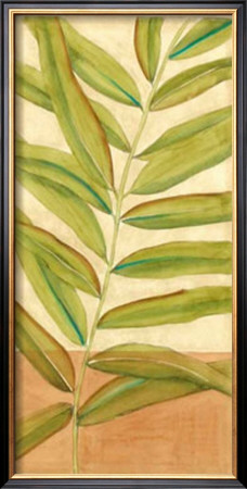 Ginger Leaves Ii by Jennifer Goldberger Pricing Limited Edition Print image