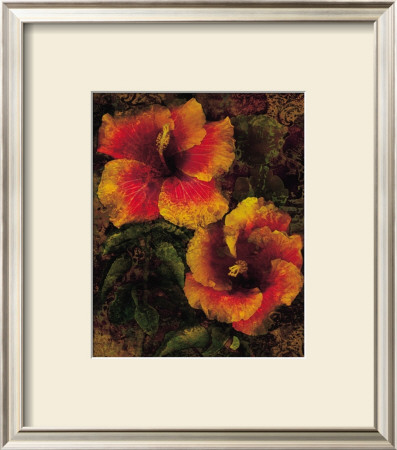 Hibiscus I by John Seba Pricing Limited Edition Print image