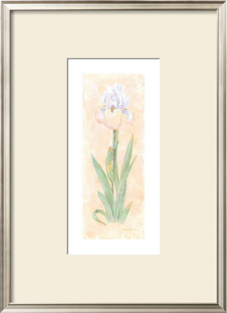 Iris Soliloquy Ii by Nancy Kaestner Pricing Limited Edition Print image