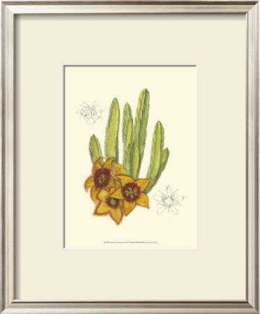Flowering Cactus Iii by Samuel Curtis Pricing Limited Edition Print image