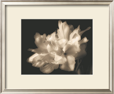 Double Dappled I by Charles Britt Pricing Limited Edition Print image