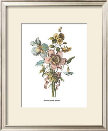 Anemones Sunples Volubulis by Jean Louis Prevost Pricing Limited Edition Print image