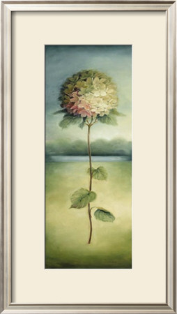 Hydrangea Clipping Ii by Lisa Audit Pricing Limited Edition Print image