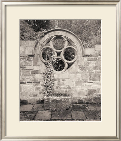 Secret Garden Ii by Ned Witrogen Pricing Limited Edition Print image