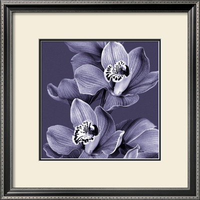 Mauve Orchid Ii by Chris Jones Pricing Limited Edition Print image