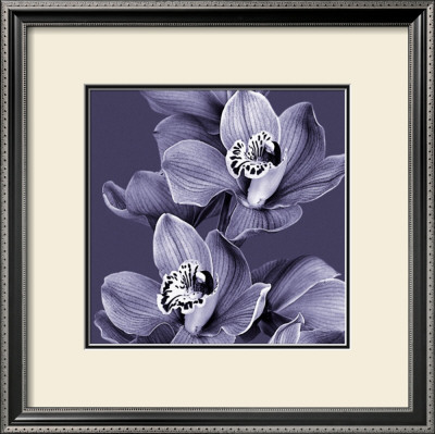 Mauve Orchid Ii by Chris Jones Pricing Limited Edition Print image
