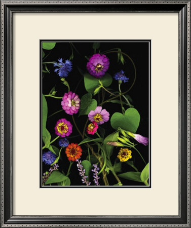 Summer Zinnia by Susan Barmon Pricing Limited Edition Print image