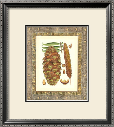 Leather Framed Pine Cones I by Deborah Bookman Pricing Limited Edition Print image