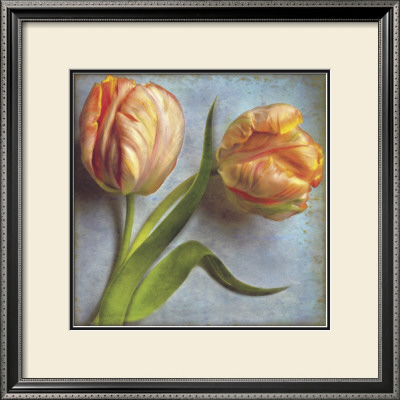 Parrot Tulips Ii by Sally Wetherby Pricing Limited Edition Print image