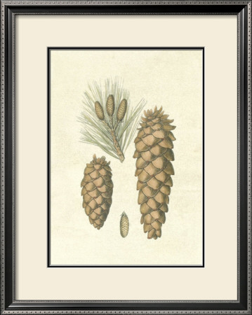 Crackled Woodland Pinecones Ii by Silva Pricing Limited Edition Print image