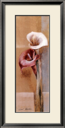 Red And White Calla by Gabor Barthez Pricing Limited Edition Print image