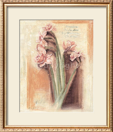 Rose Narcissus by Anna Gardner Pricing Limited Edition Print image
