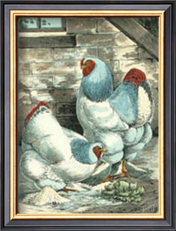 Modern Light Brahmas by J. W. Ludlow Pricing Limited Edition Print image