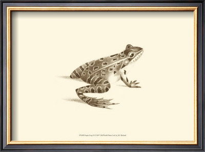 Sepia Frog Ii by J. H. Richard Pricing Limited Edition Print image